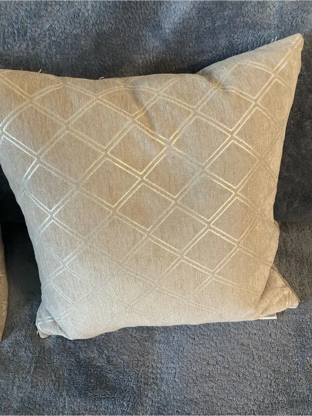 Gray with Silver-Pattern Throw Pillow Pair
